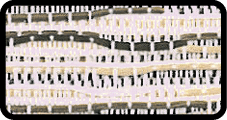 Rectangle